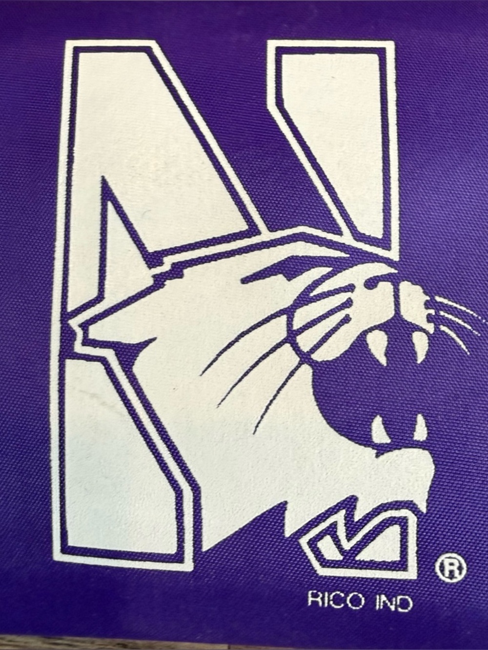 Northwestern Wildcats Purple Card Holder Keychain Wallet NCAA Fan Gift - Picture 2 of 7
